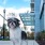 cute dog looks at the camera on city sidewalk